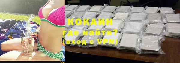 индика Осинники
