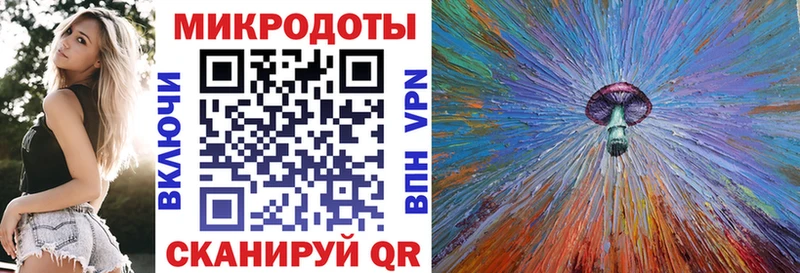 Галлюциногенные грибы Psilocybine cubensis  Северо-Курильск 