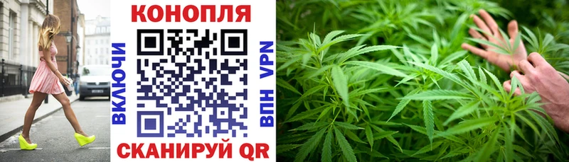 Конопля VHQ  магазин продажи наркотиков  Северо-Курильск 